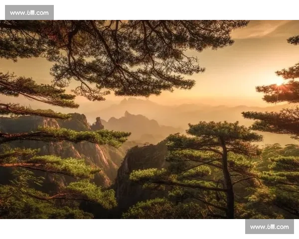 捕捉光影之美 佳能摄影比赛展现创意与视觉魅力